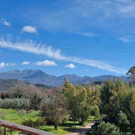 Agriturismo La Petrosa Ceraso Εξωτερικό φωτογραφία