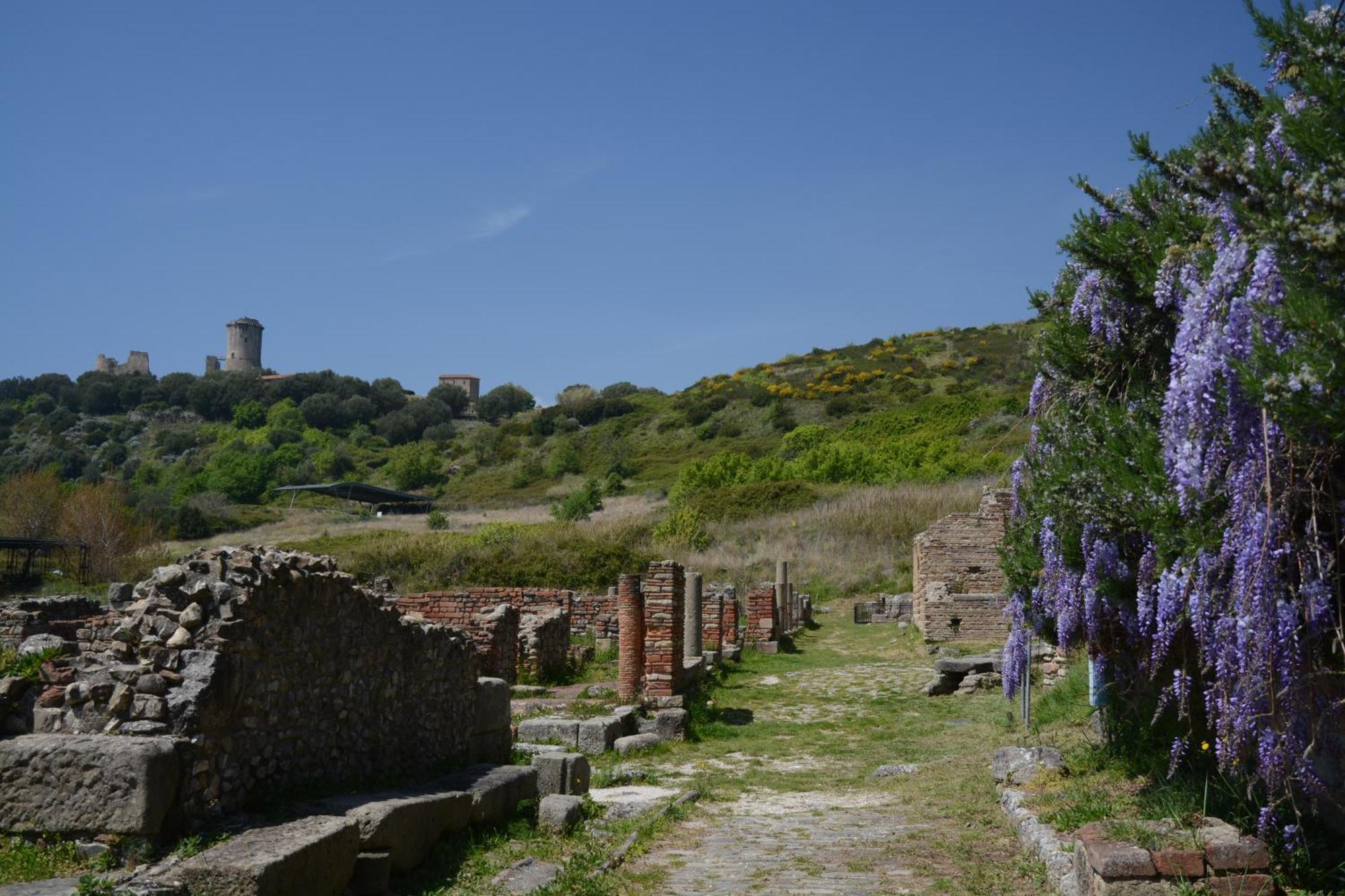 Agriturismo La Petrosa Ceraso Εξωτερικό φωτογραφία