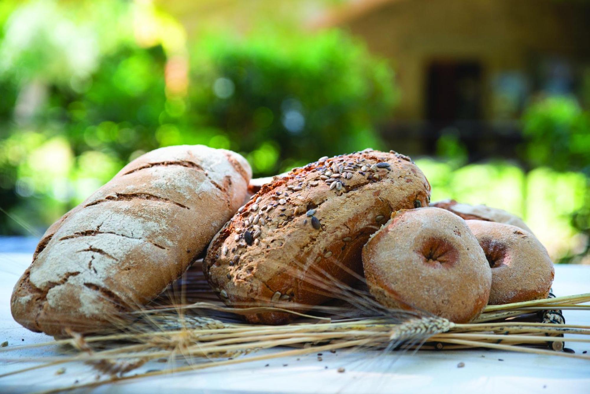 Agriturismo La Petrosa Ceraso Εξωτερικό φωτογραφία