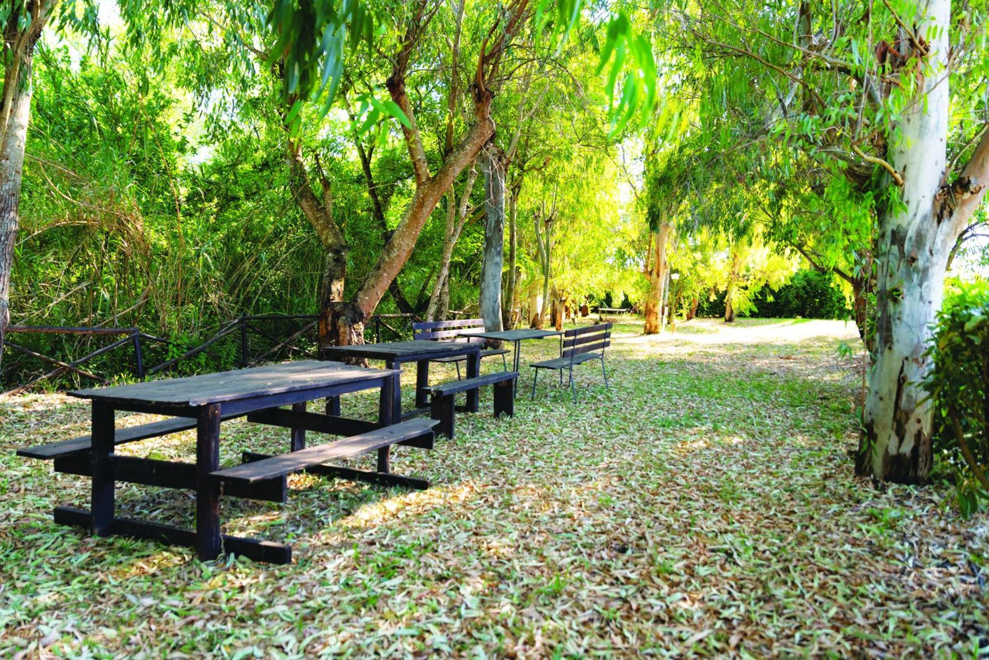 Agriturismo La Petrosa Ceraso Εξωτερικό φωτογραφία