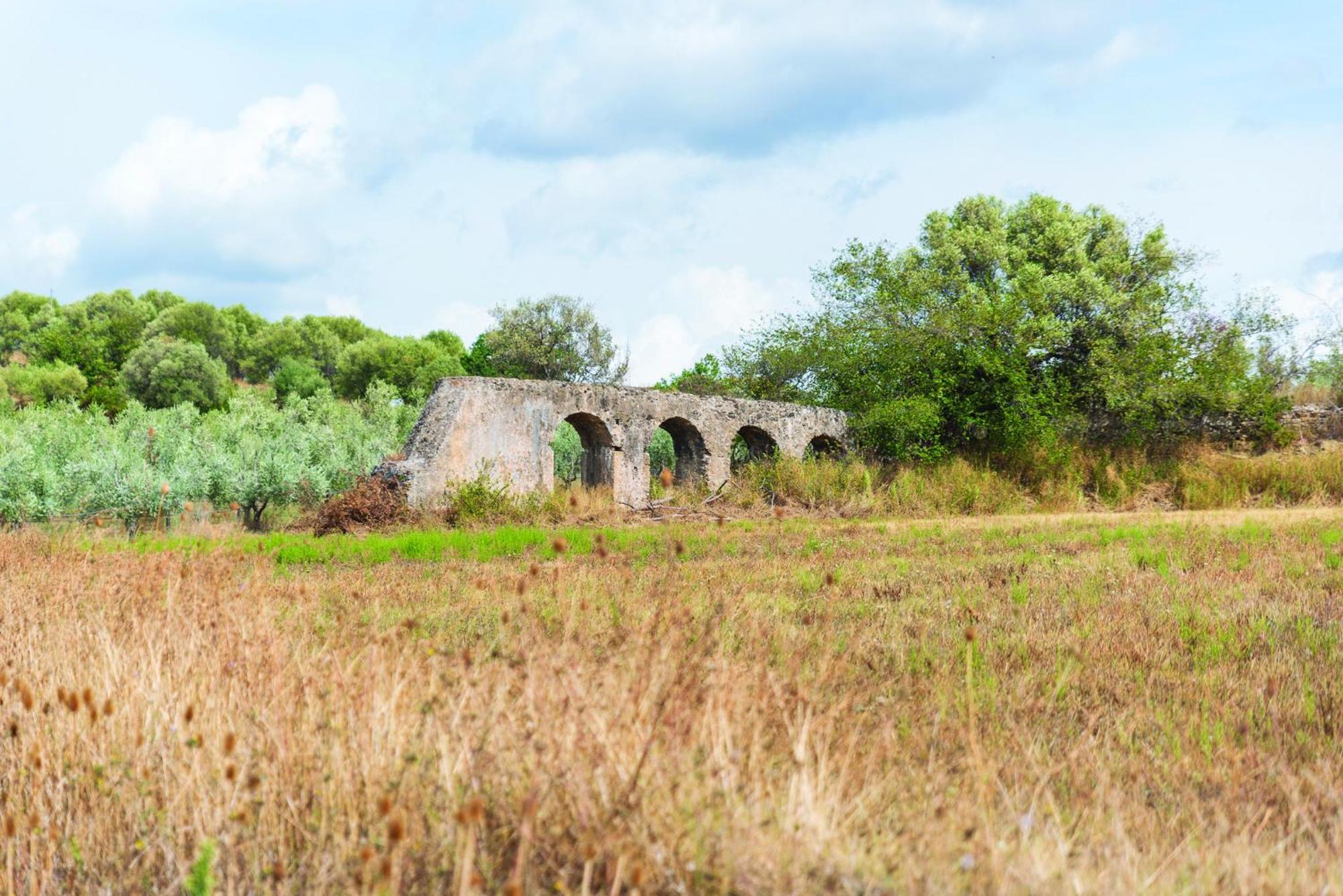 Agriturismo La Petrosa Ceraso Εξωτερικό φωτογραφία