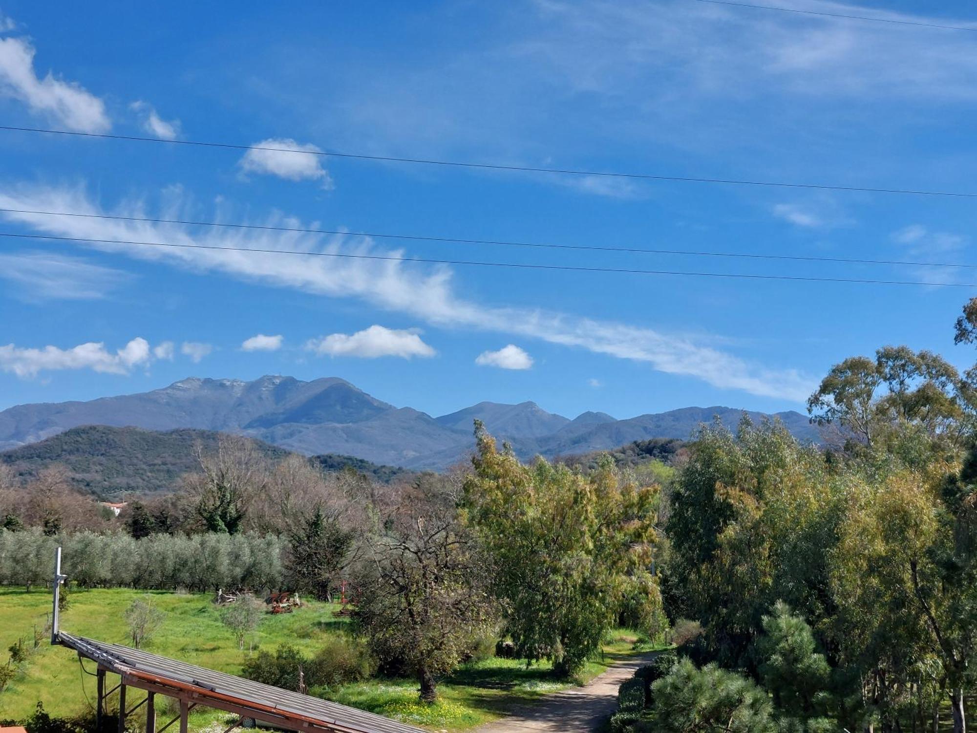 Agriturismo La Petrosa Ceraso Εξωτερικό φωτογραφία